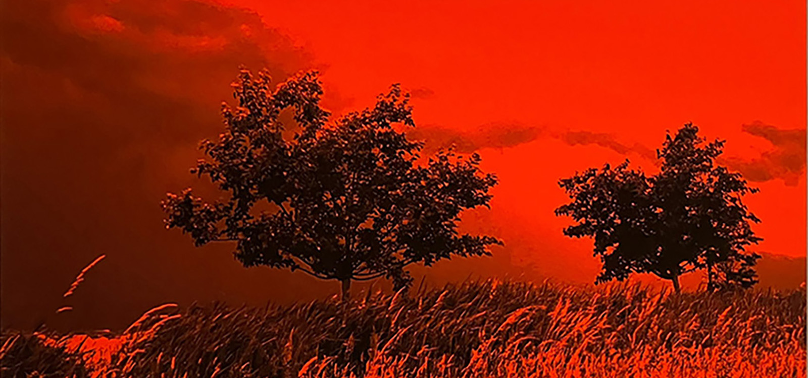 Expositie: Rood in Fotogalerie Zwijndrecht